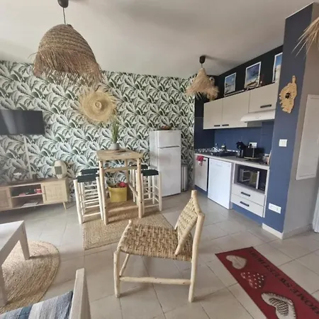 T2 Terrasse Piscine Et Moriani Corse *