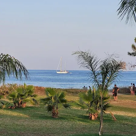 T2 Terrasse Piscine Et Moriani Corse *