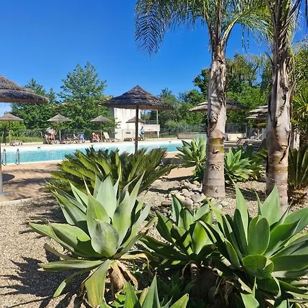 T2 Terrasse Piscine Et Moriani Corse 公寓